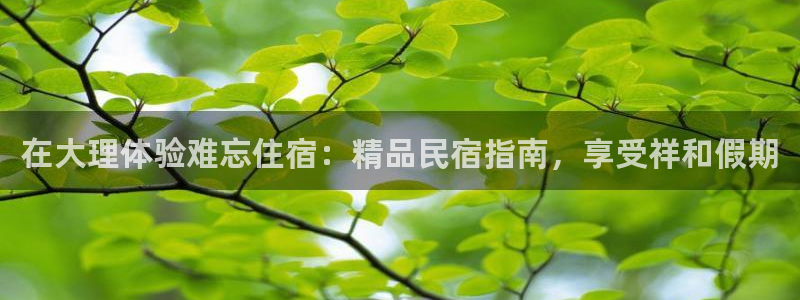 球盟会app手机登录|在大理体验难忘住宿：精品民宿指南，享受祥和假期